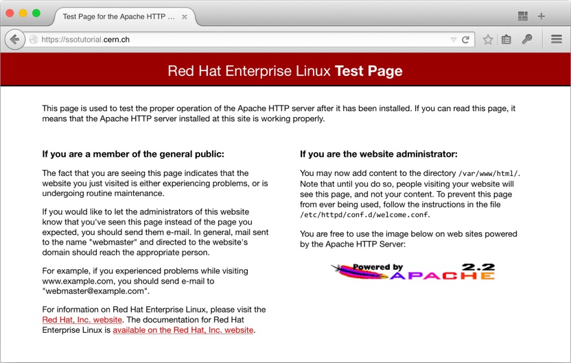 The Apache test page over port 443 on our VM.